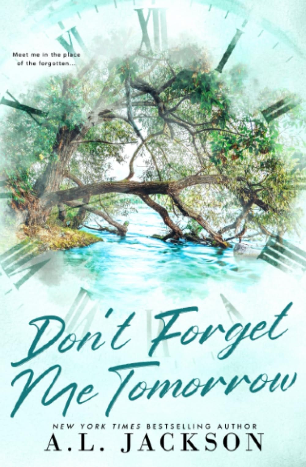 Don't Forget Me Tomorrow