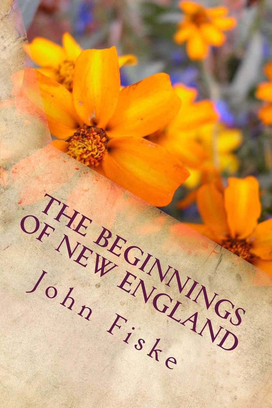 The Beginnings of New England