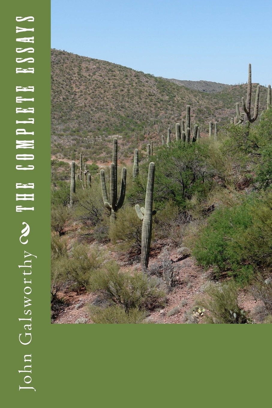 The Complete Essays