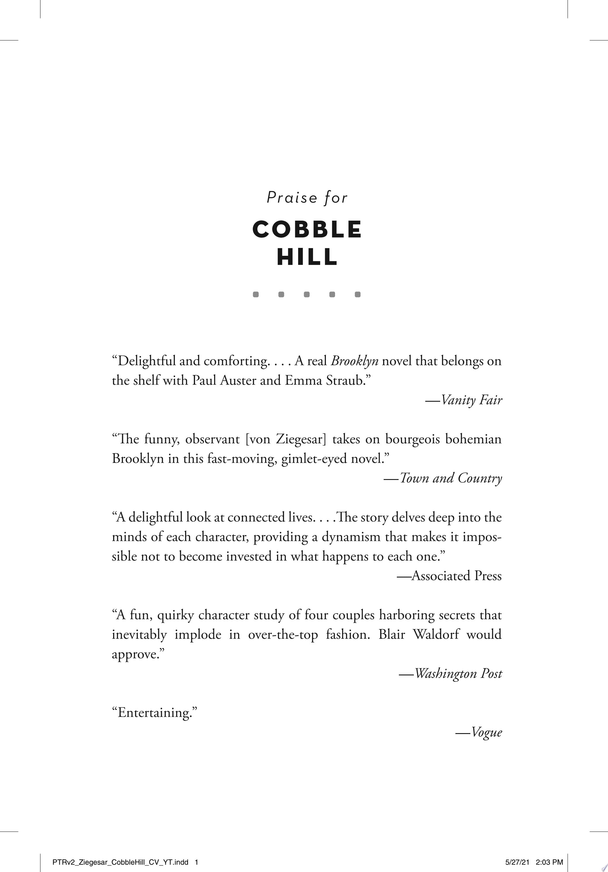 Cobble Hill A Novel