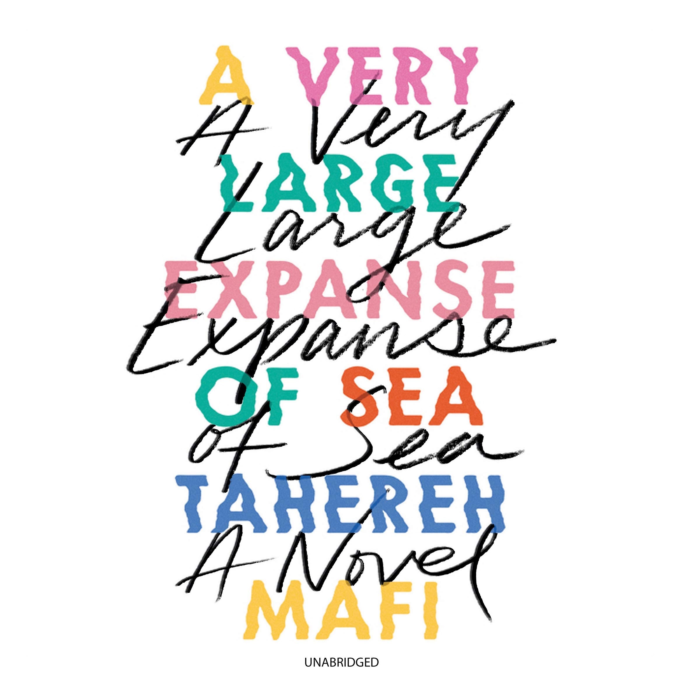 A Very Large Expanse of Sea Lib/E