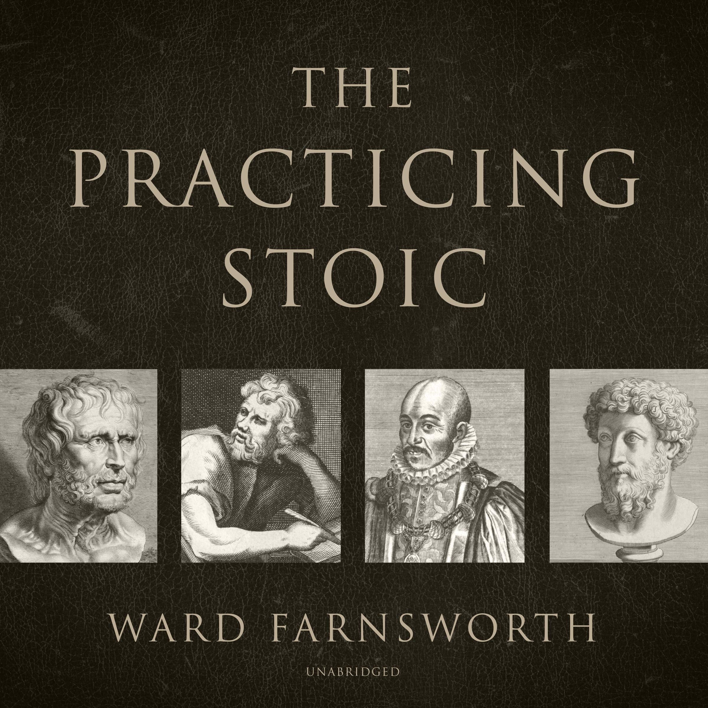 The Practicing Stoic A Philosophical User's Manual