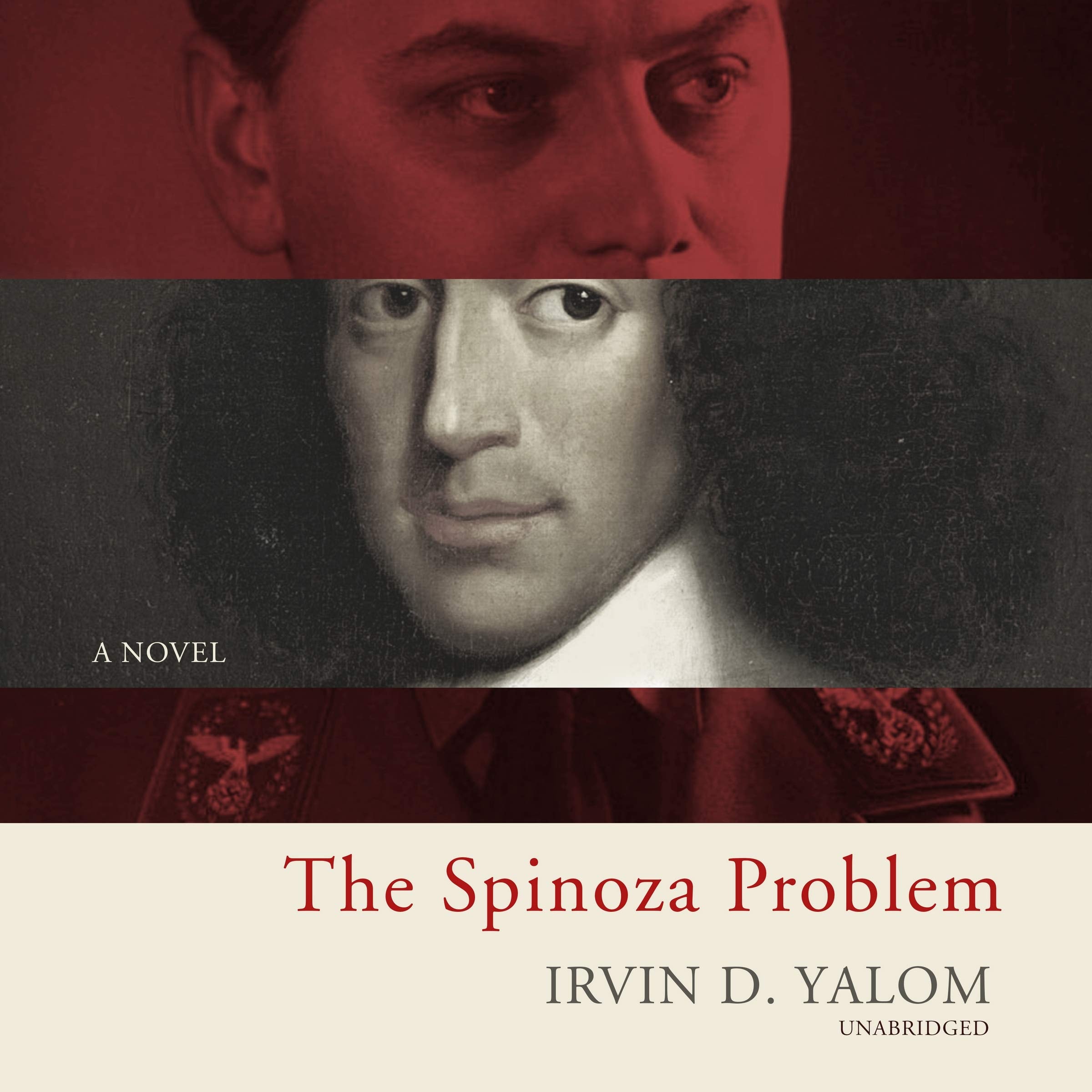 The Spinoza Problem a novel