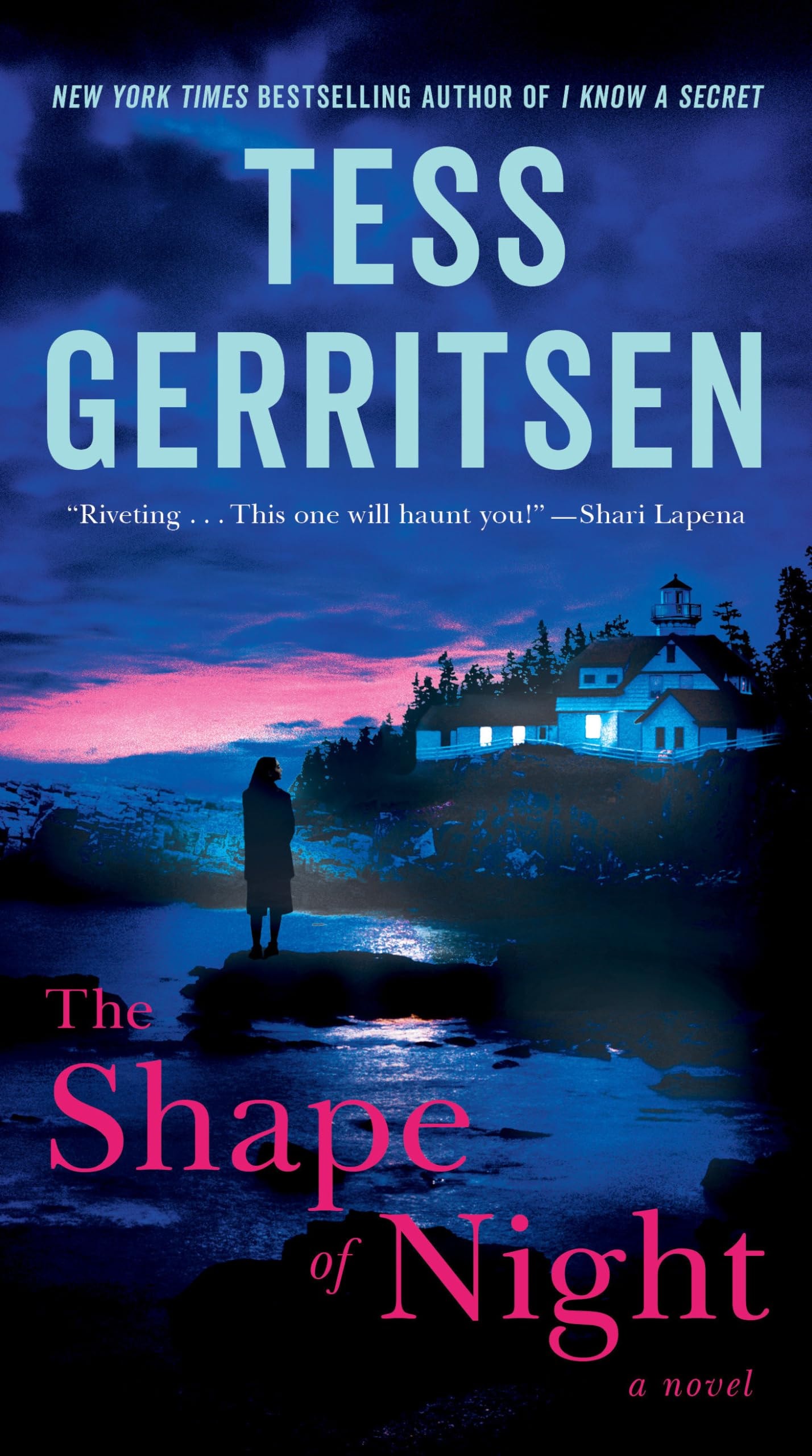 The Shape of Night A Novel