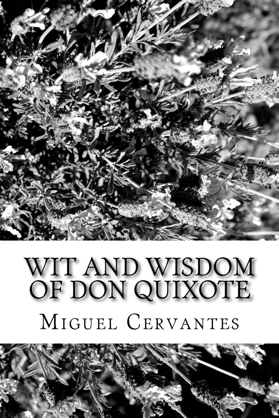 Wit and Wisdom of Don Quixote