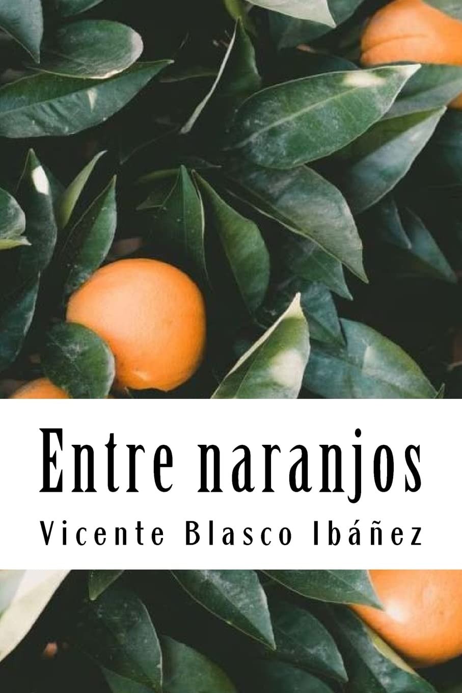 Entre Naranjos