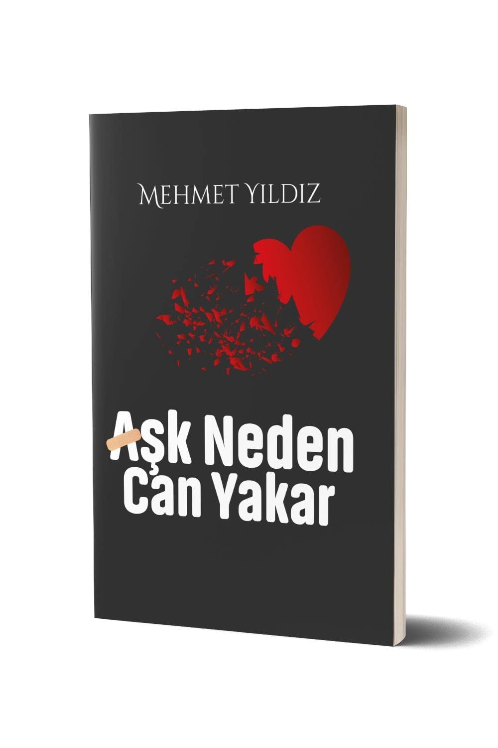 Aşk Neden Can Yakar?