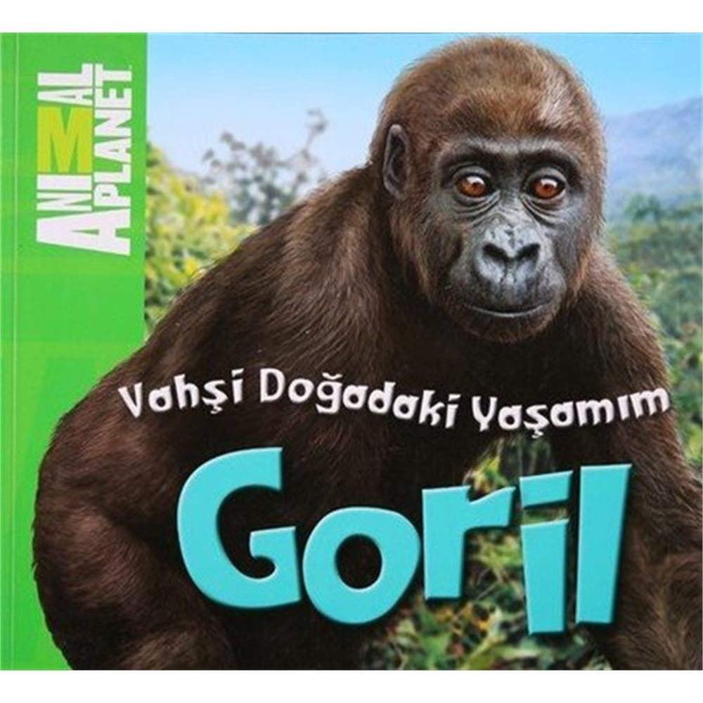 Animal Planet Dogadaki Vahsi Yasamim Goril