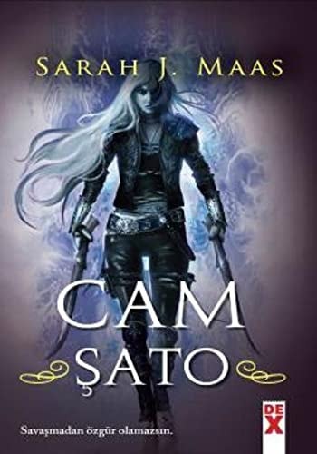 Cam Sato 1 Ciltli