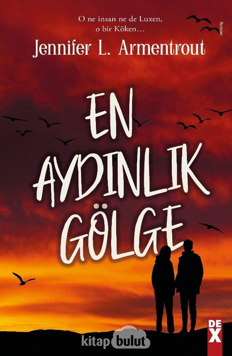 En Aydinlik Gölge