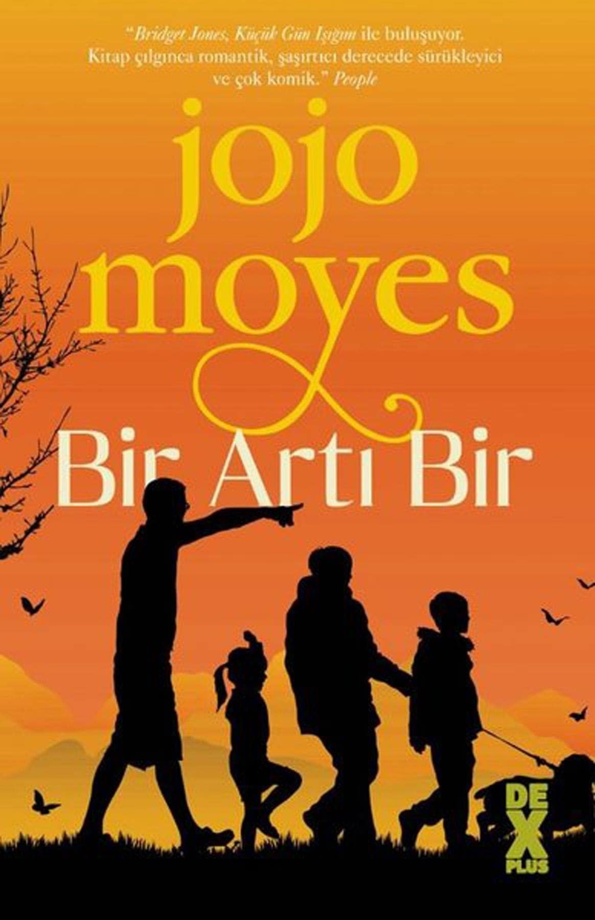 Bir Arti Bir