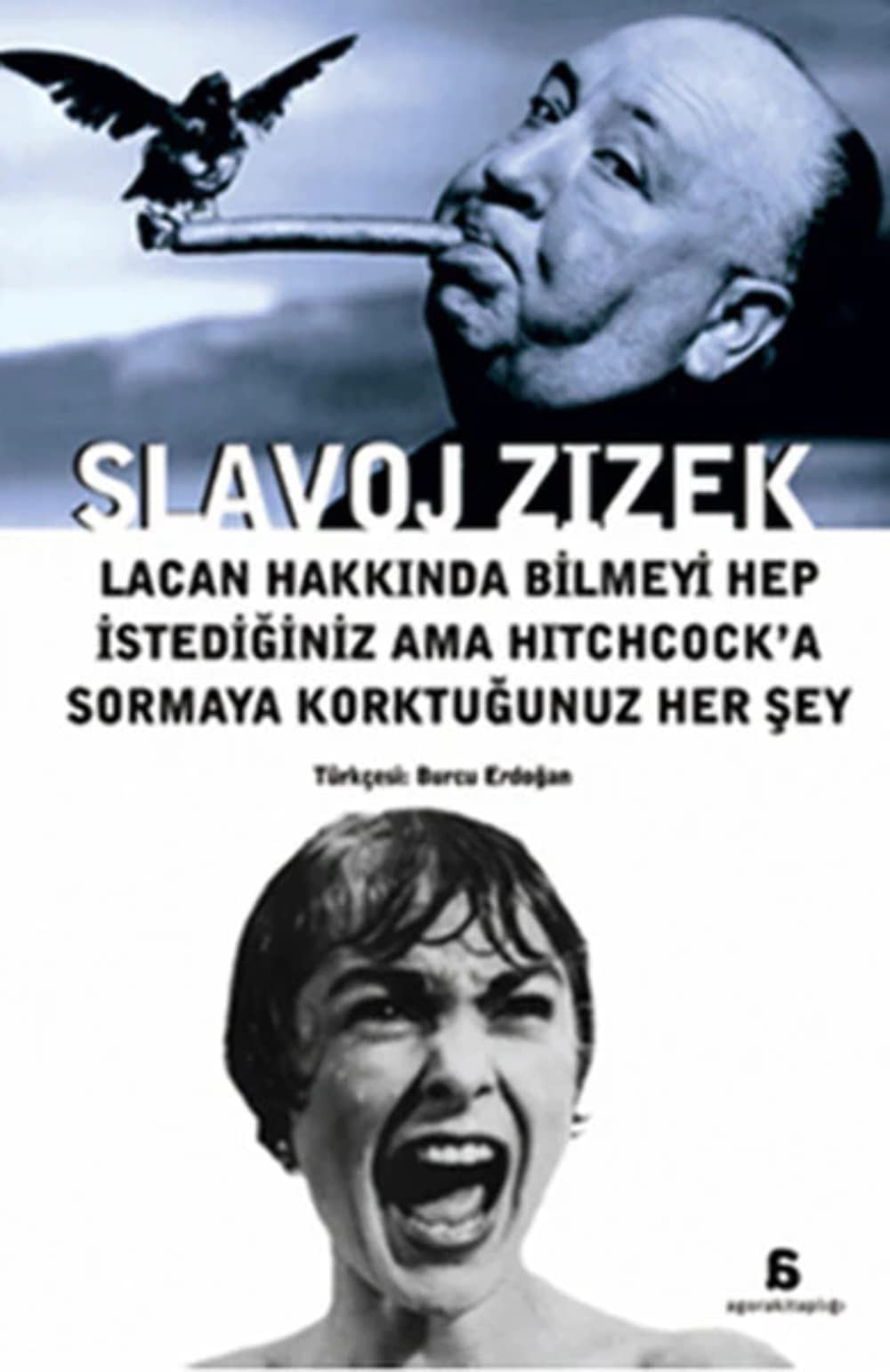 Lacan hakkinda bilmeyi hep istediğiniz ama Hitchock'a sormaya korktuğunuz her şey