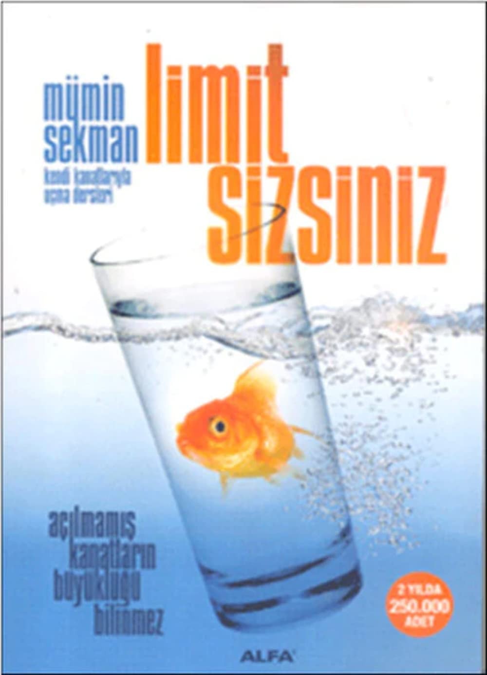 Limit sizsiniz kendi kanatlarıyla uçma dersleri