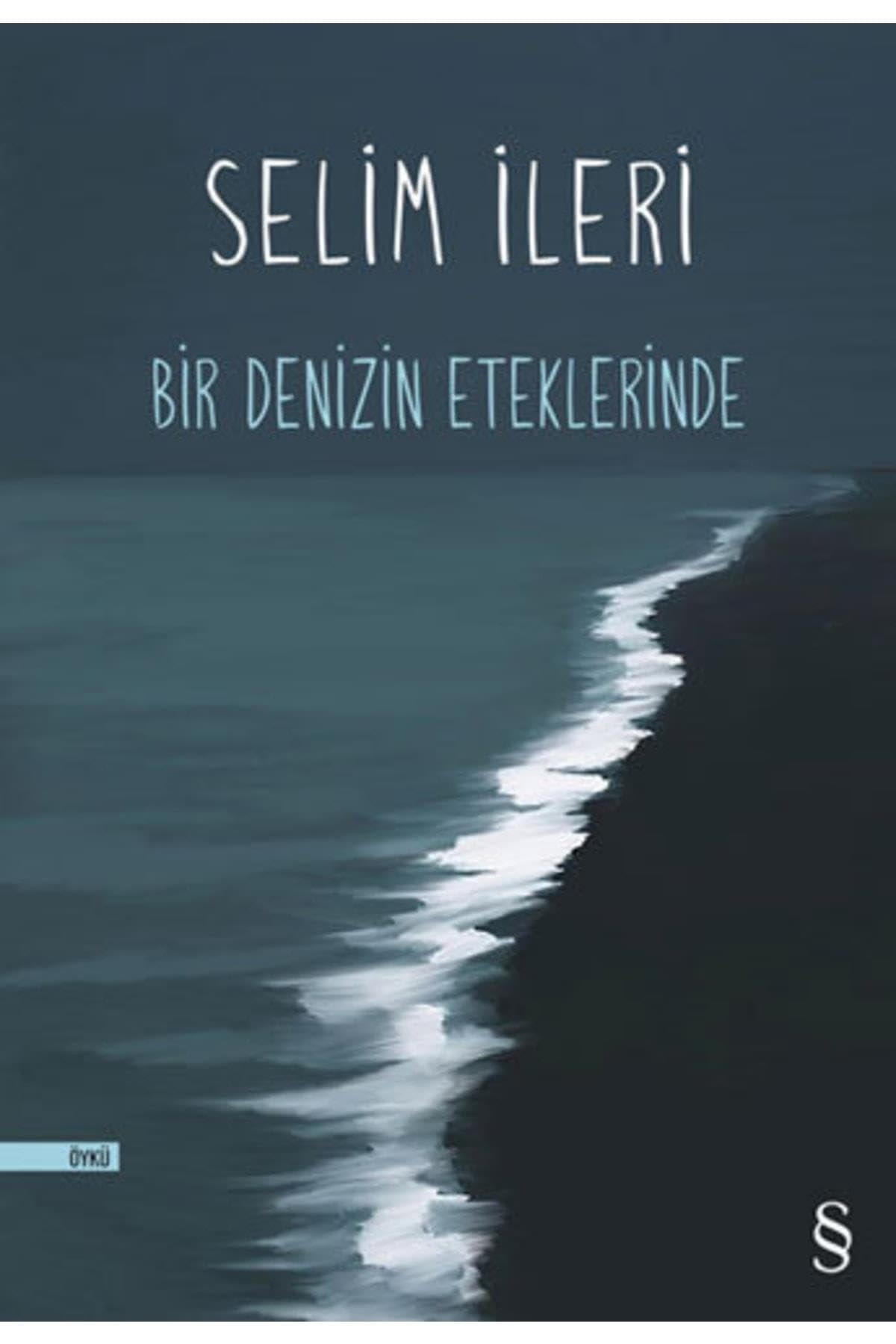 Bir denizin eteklerinde