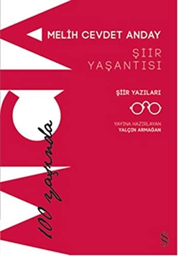 Şiir yaşantısı, şiir yazıları