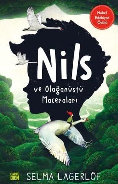 Nils ve Olaganüstü Maceralari