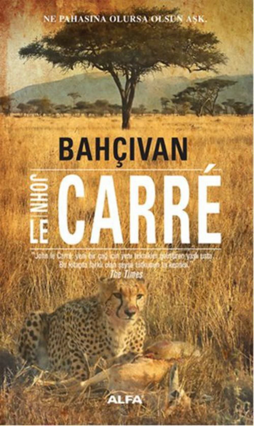 Bahçivan