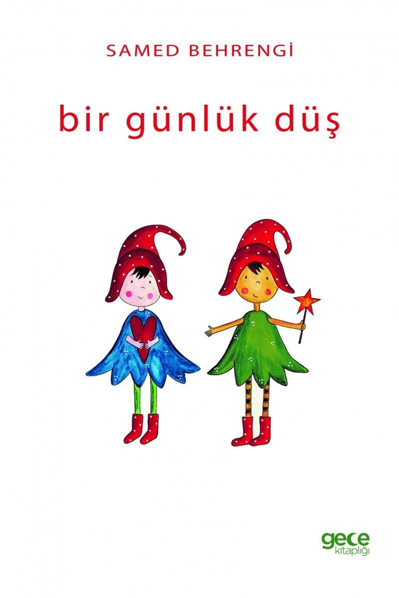 Bir Günlük Düs