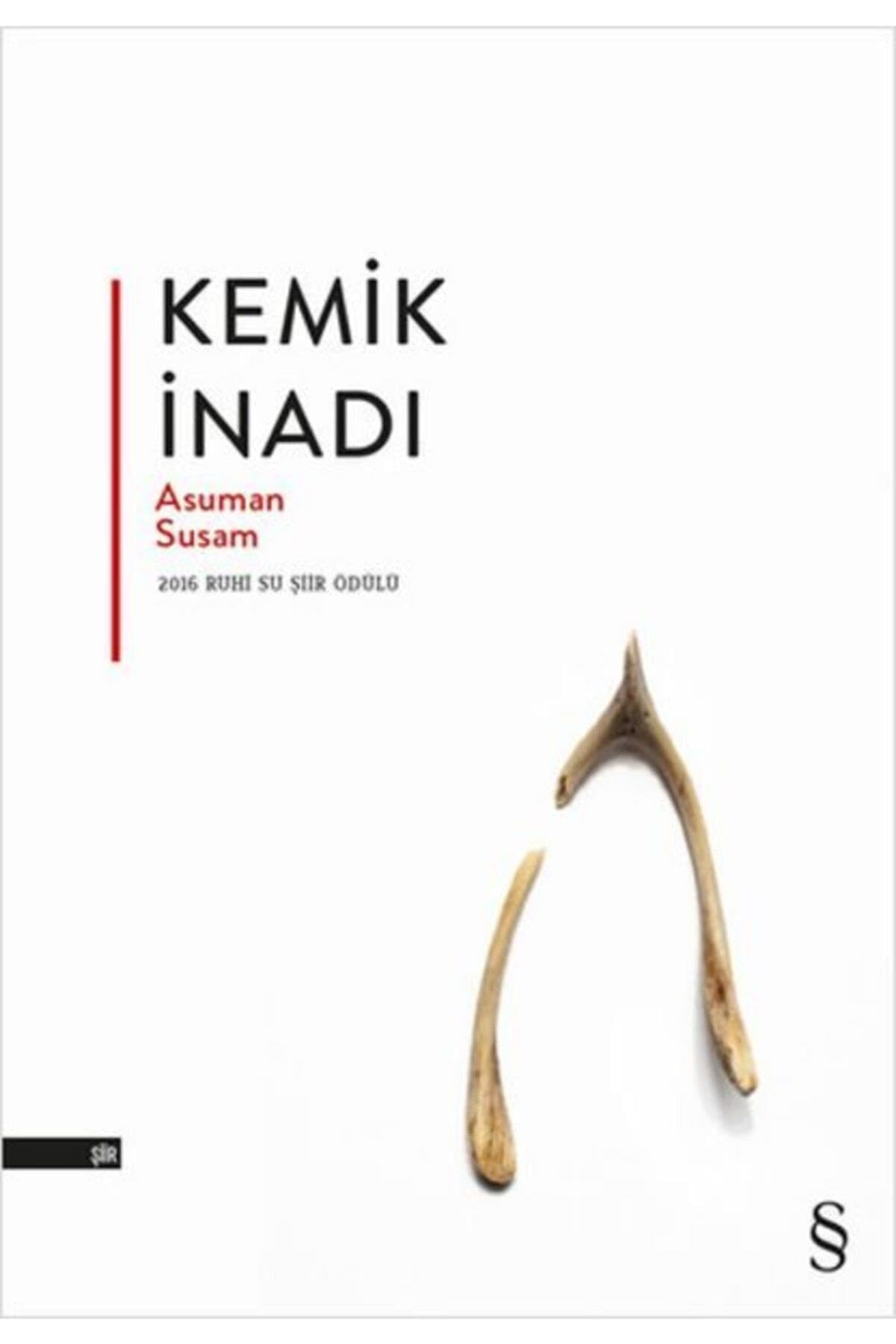Kemik Inadi 2016 Ruhi Su Siir Ödülü