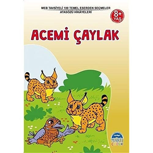 Acemi Çaylak