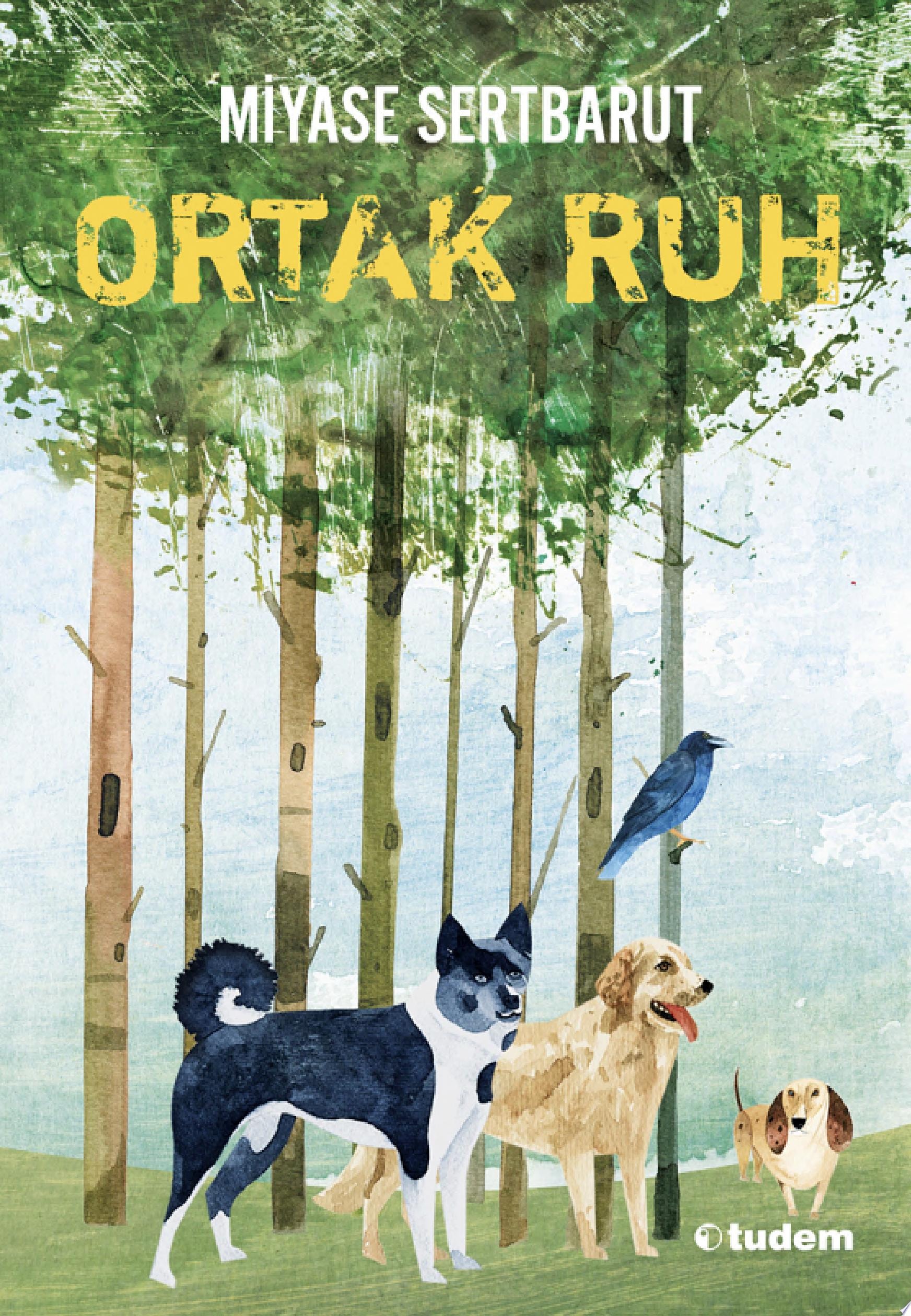 SİSİN SAKLADIKLARI - 2 ORTAK RUH