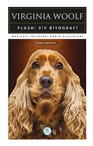 Flush bir biyografi