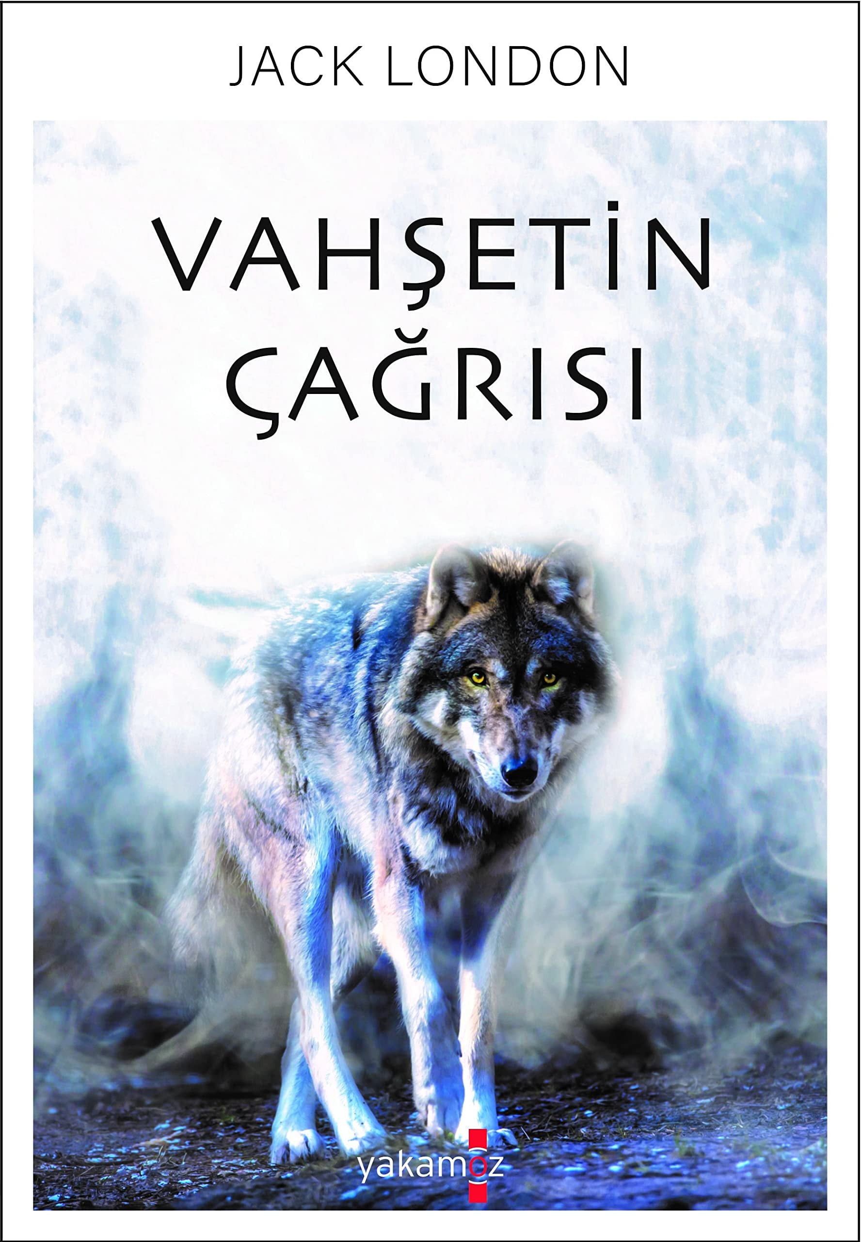 Vahşetin Çağrısı