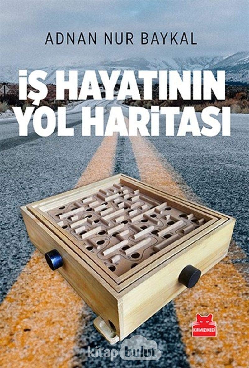 Is Hayatinin Yol Haritasi