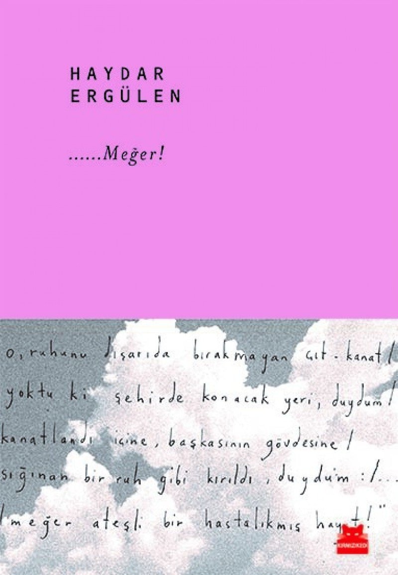 ...Meğer! paradoks diyalektika : yazılar