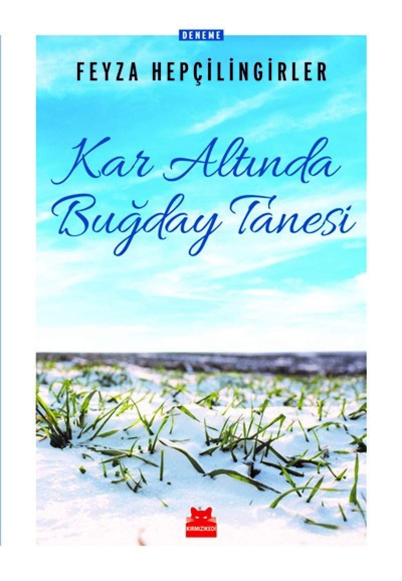 Kar altında buǧday tanesi Deneme