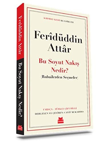 Bu Soyut Nakis Nedir Rubailerden Secmeler - Klasikler