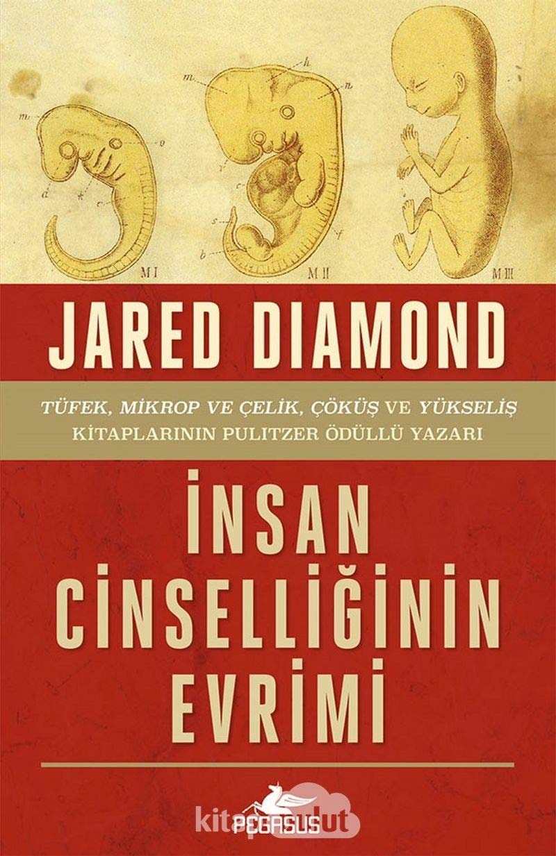 Insan Cinselliginin Evrimi