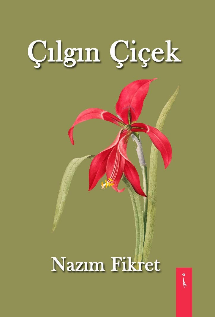 Cilgin Cicek