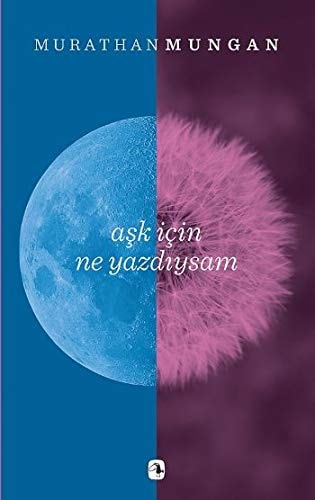 Aşk için ne yazdıysam