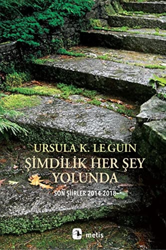 Simdilik Her Sey Yolunda Son Siirler 2014-2018