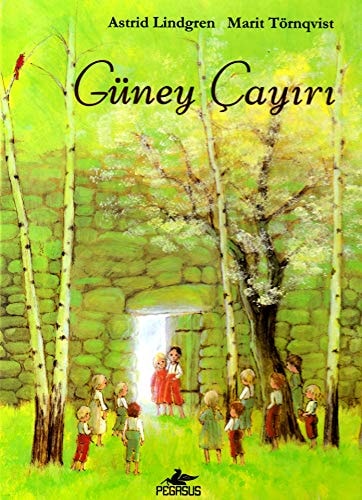 Güney Cayiri