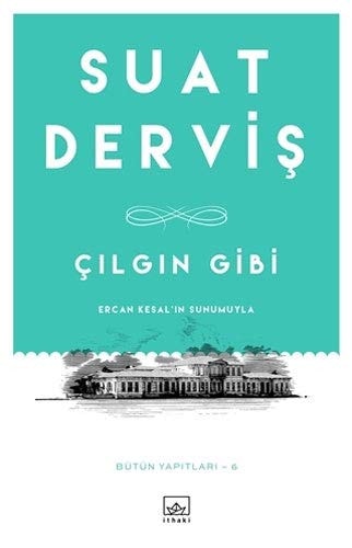 Çılgın gibi