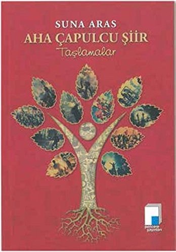 Aha çapulcu şiir taşlamalar