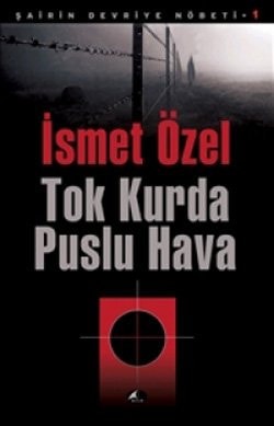 Tok kurda puslu hava