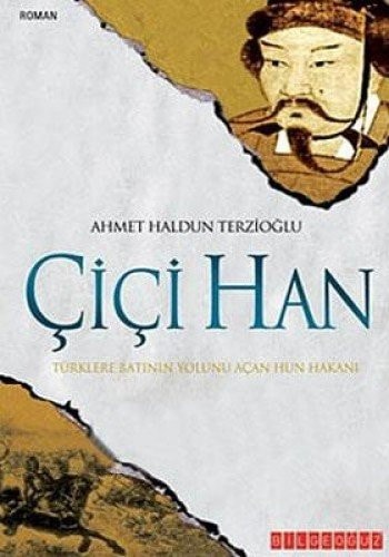 Cici Han
