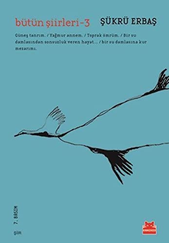 Bütün Siirleri 3