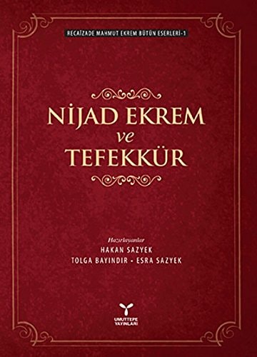 Nijad Ekrem ve Tefekkür