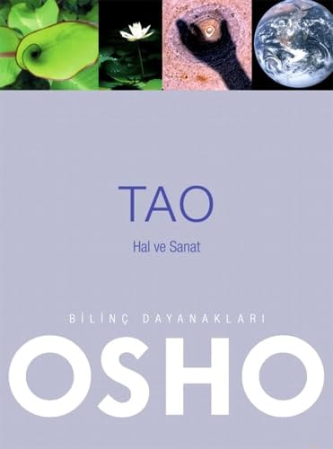 Tao - Hal ve Sanat