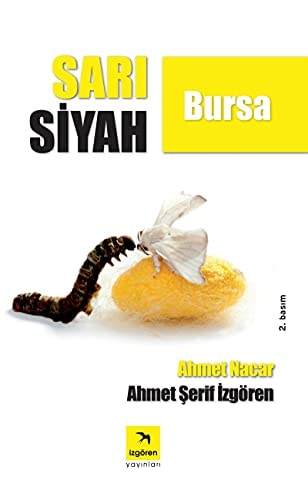 Sari Siyah Bursa