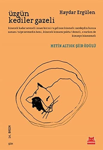 Üzgün kediler gazeli şiir