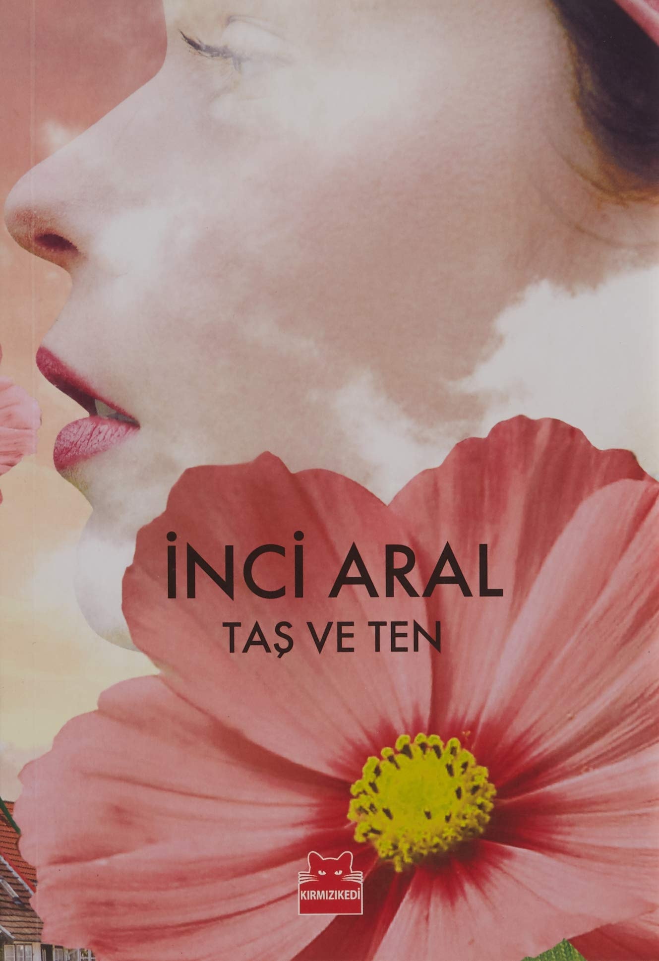 Taş ve ten roman