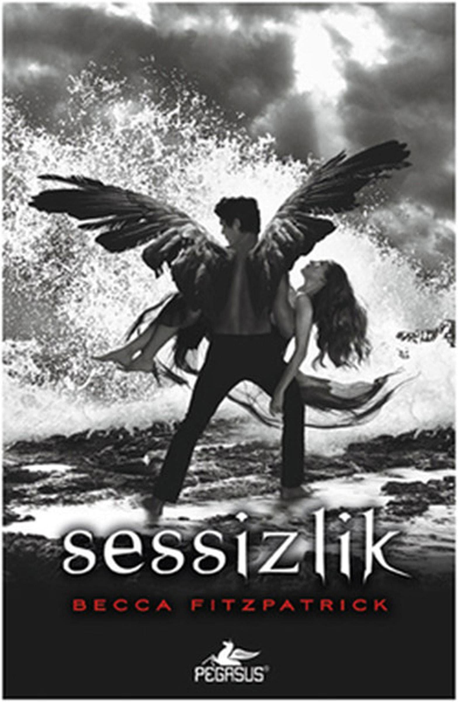 Sessizlik - Hush Hush Serisi 3. Kitap Ciltli