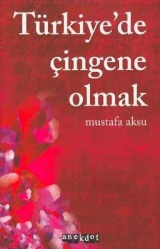 Türkiye'de Çingene olmak