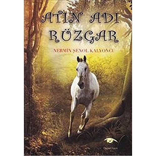 AtIn AdI Rüzgar