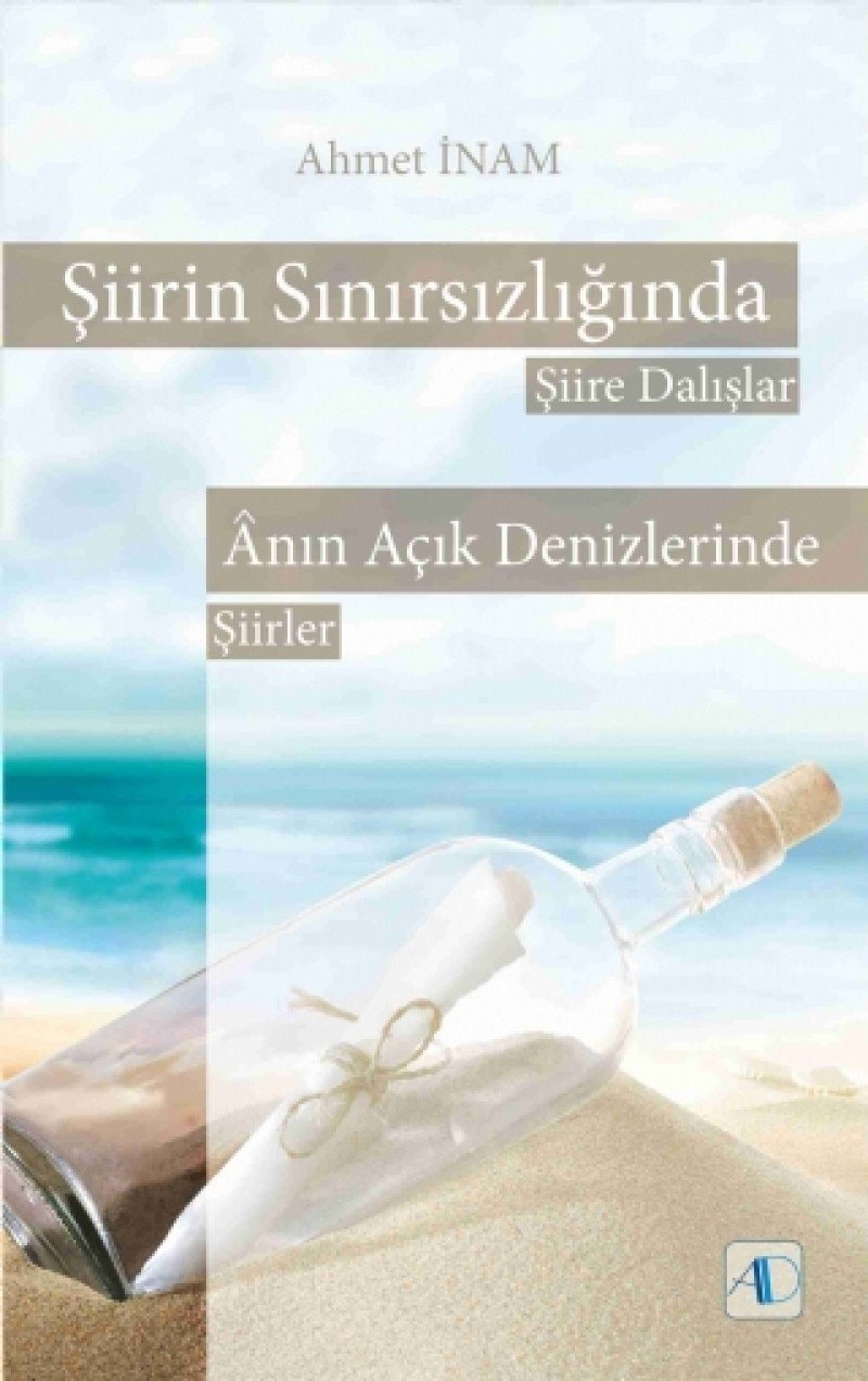 Siirin Sinirsizliginda Siire Dalislar